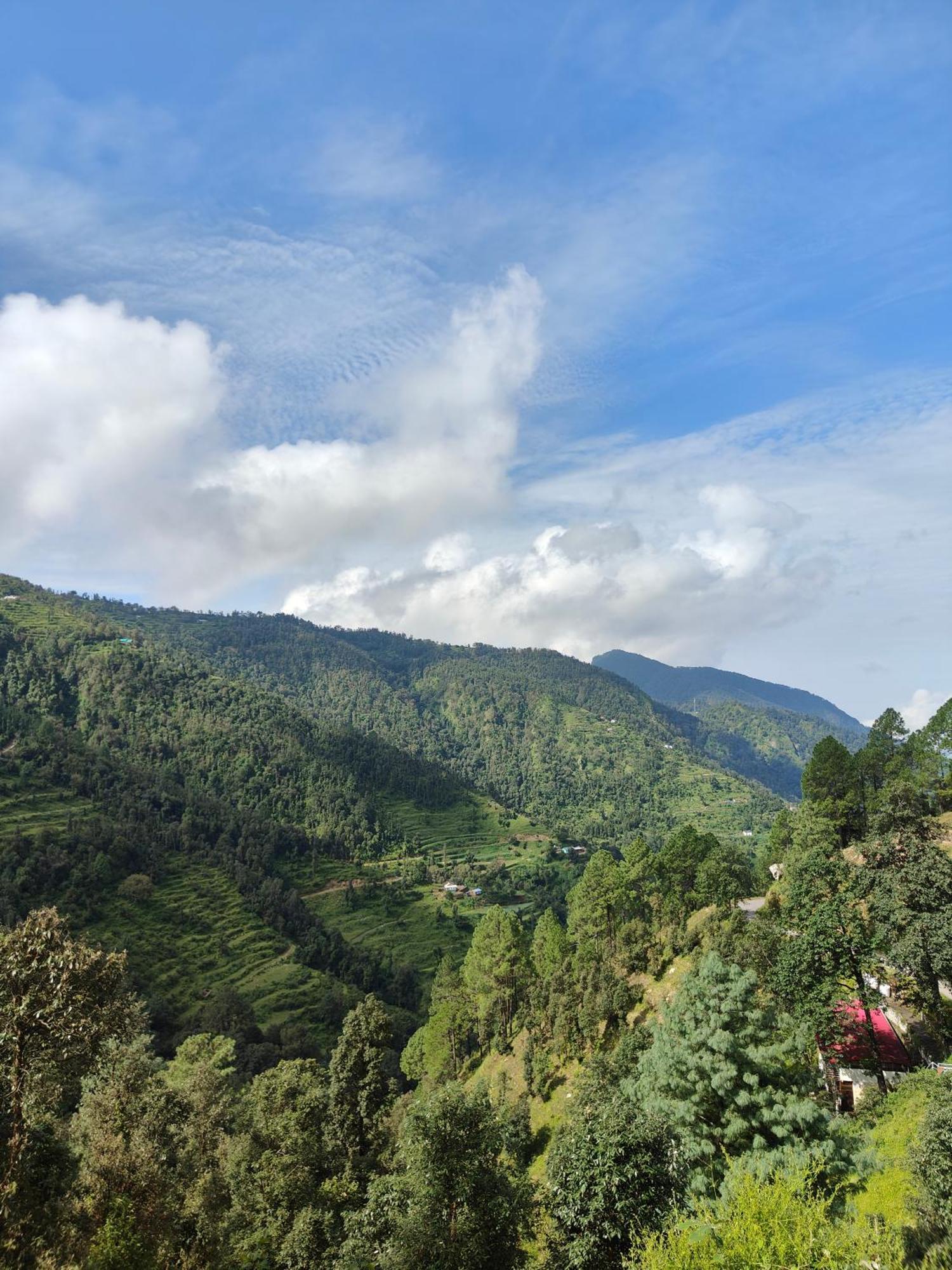 Himwanderer Camps & Pangot Nainital