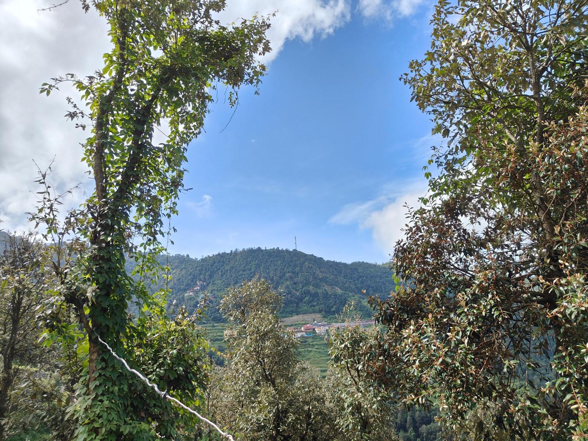 Himwanderer Camps & Pangot Lodge *