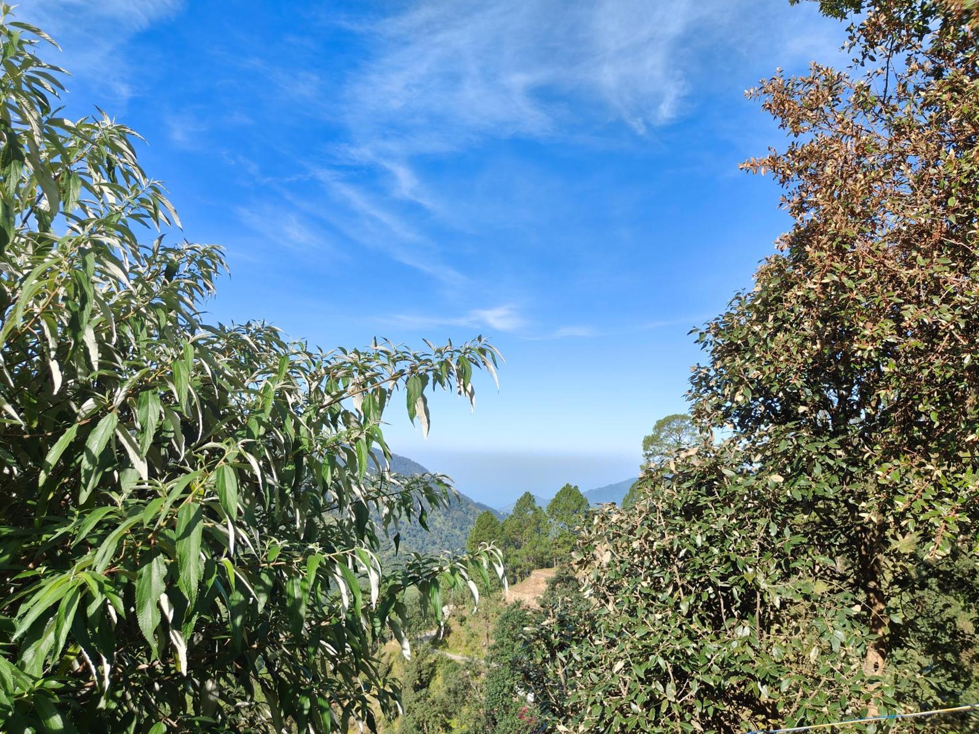 Himwanderer Camps & Pangot * Nainital