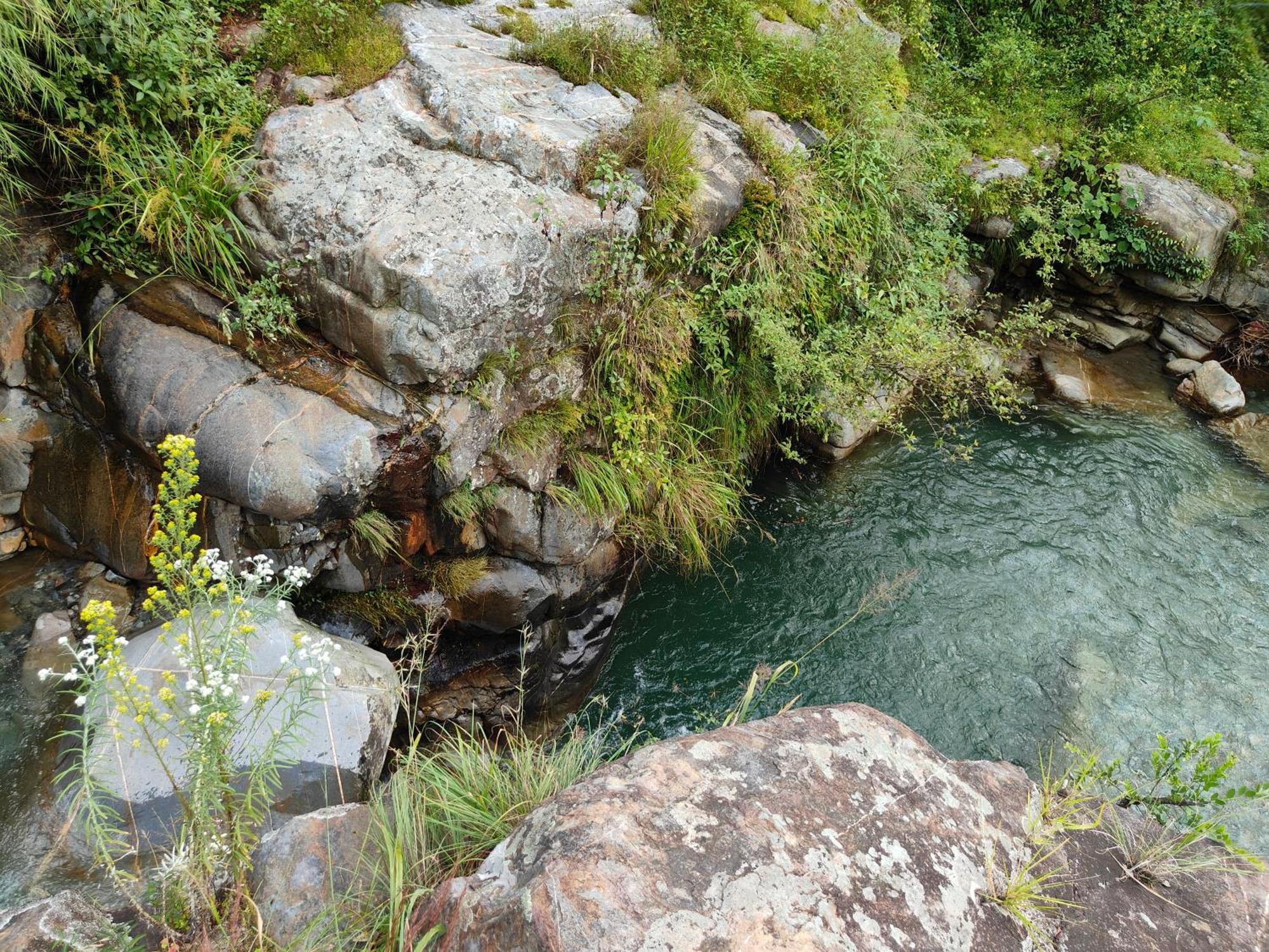 Himwanderer Camps & Pangot * Nainital