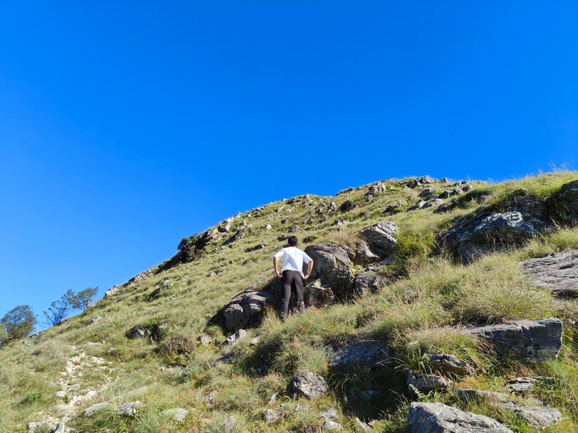 Himwanderer Camps & Pangot Nainital