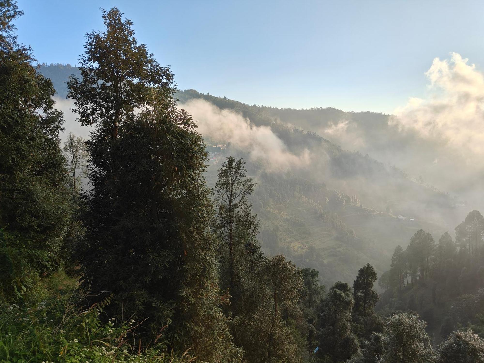 Himwanderer Camps & Pangot * Nainital