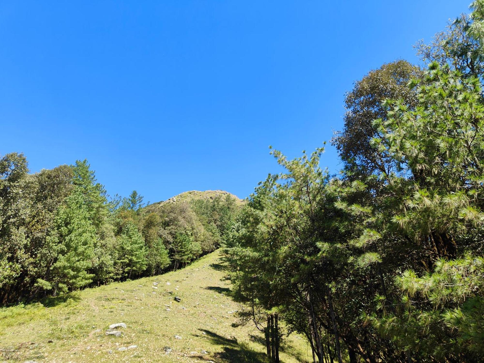 Lodge Himwanderer Camps & Pangot *