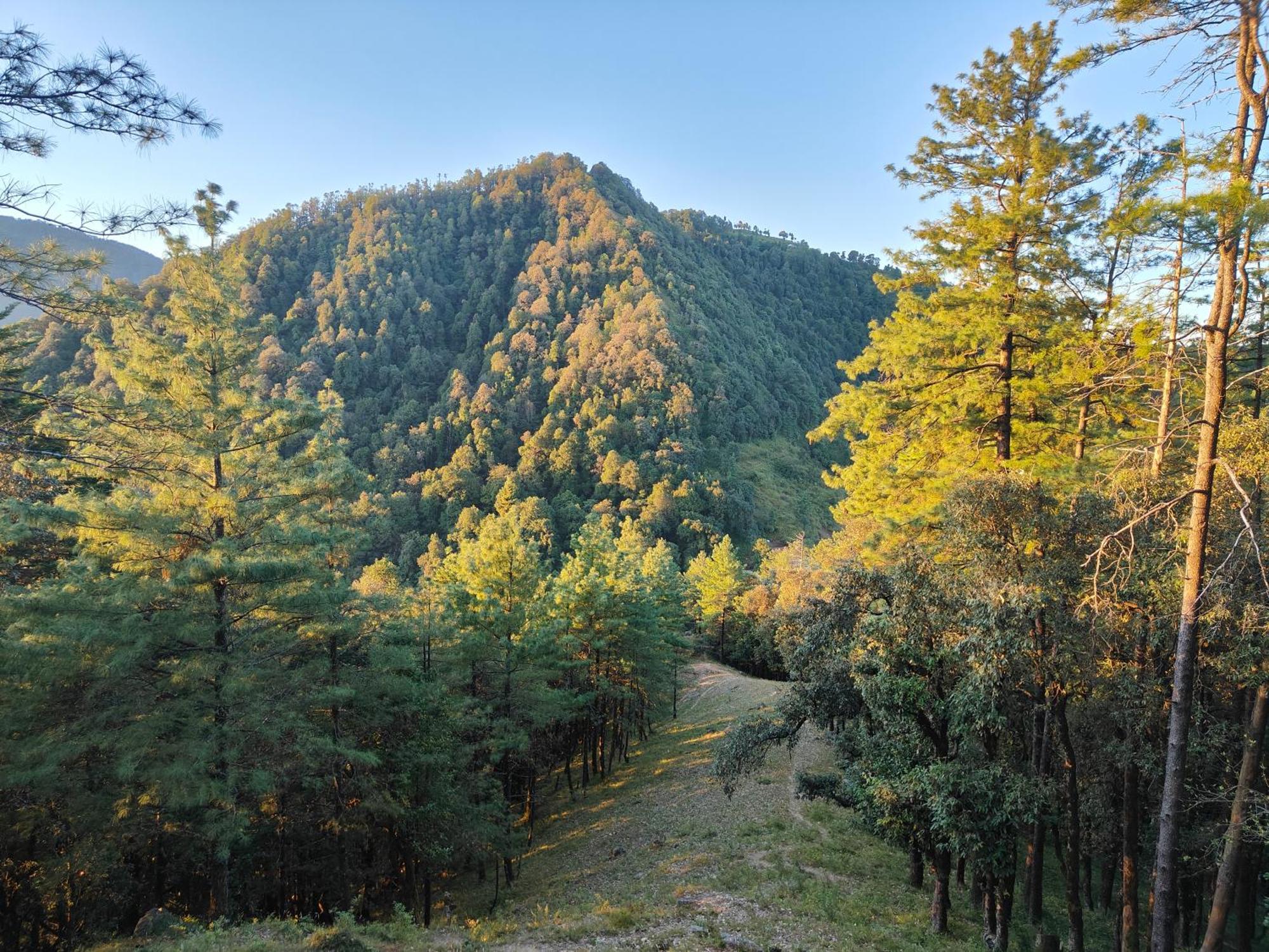 Lodge Himwanderer Camps & Pangot *