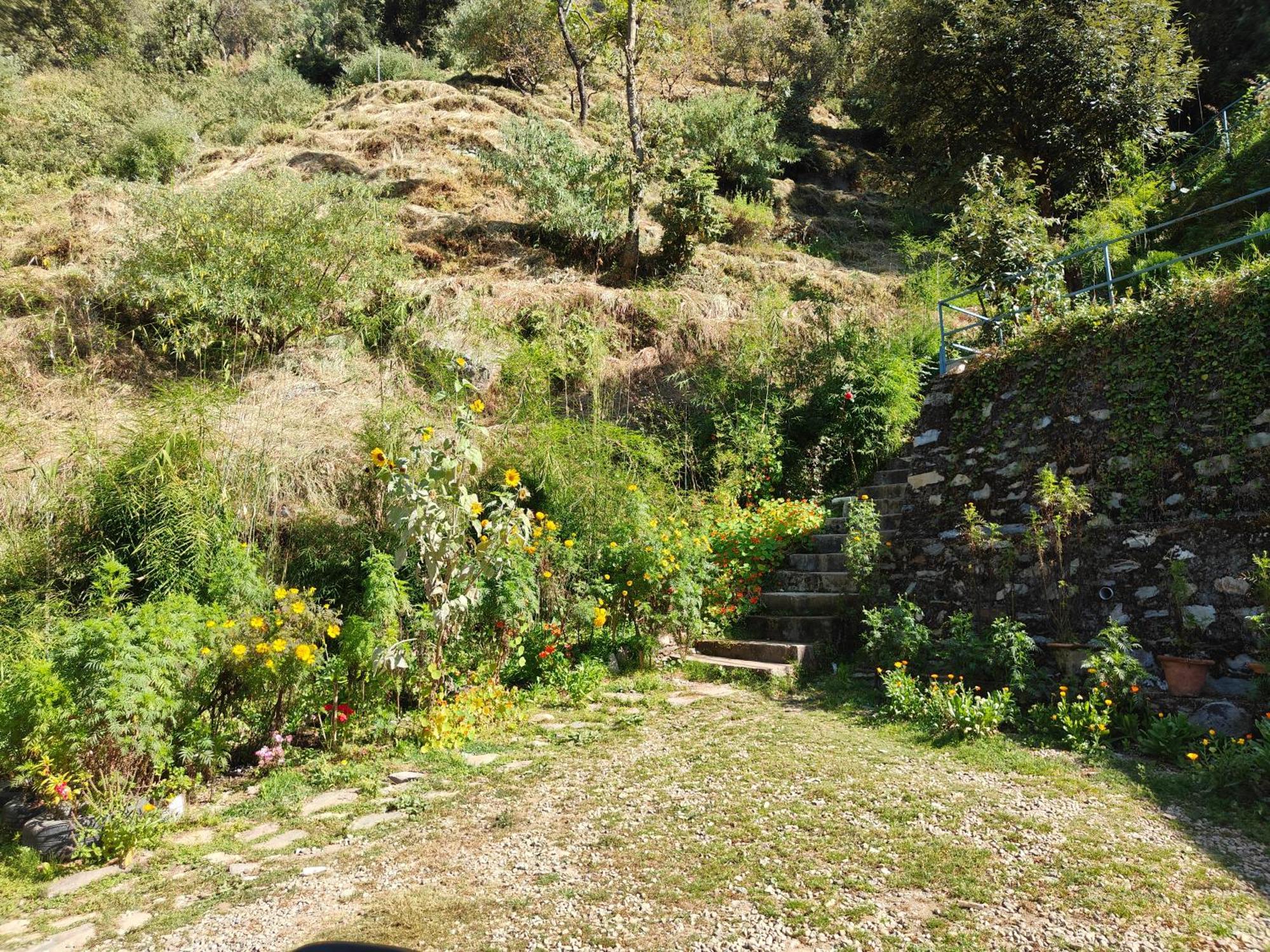 Himwanderer Camps & Pangot * Nainital