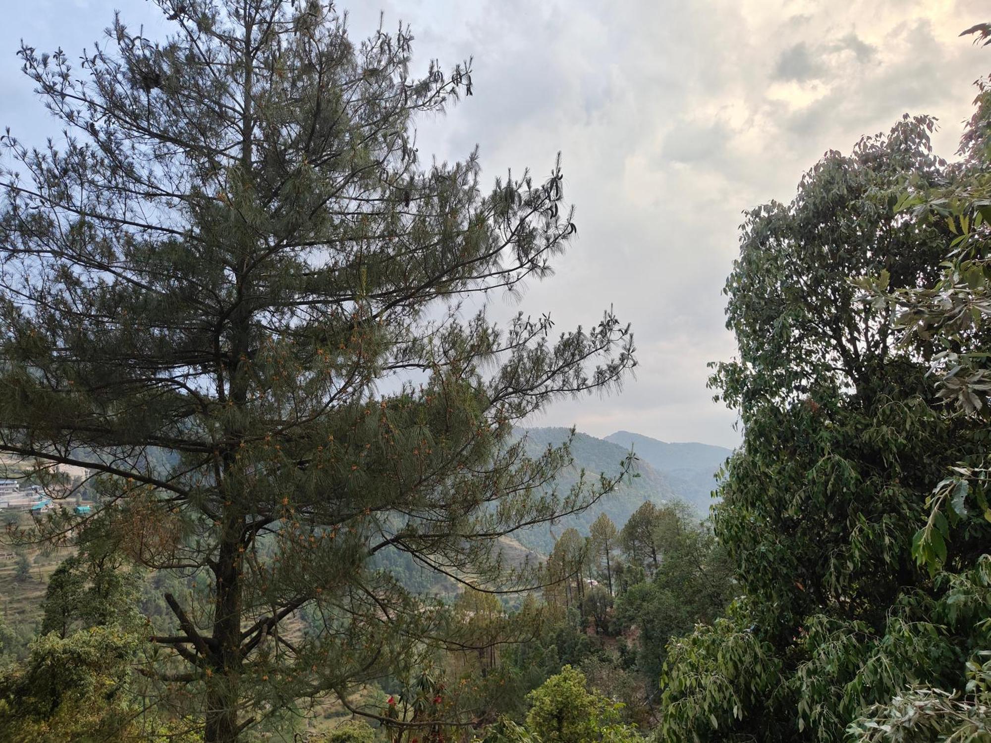 Himwanderer Camps & Pangot Lodge Nainital